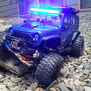 BLACK BEAUTY BIGHT BLUE